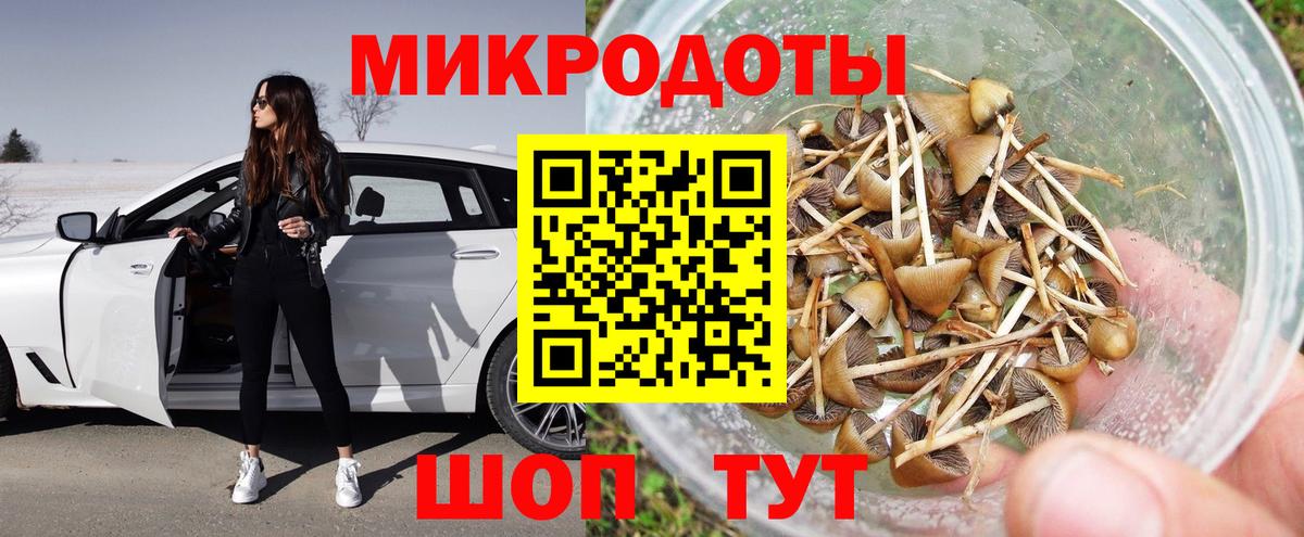 Псилоцибиновые грибы Psilocybe Астрахань